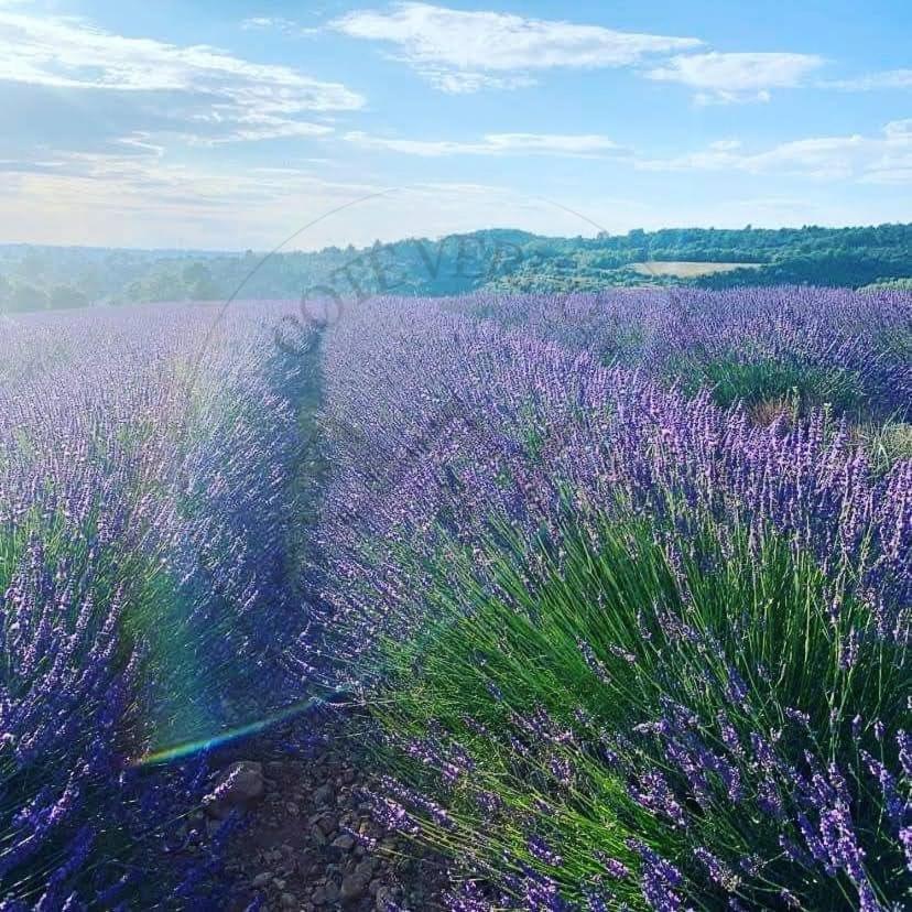 Cote Verdon 2 แก็งซง ภายนอก รูปภาพ